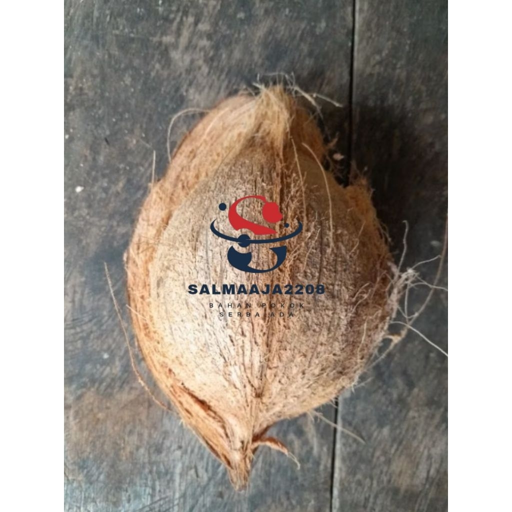 

Kelapa Tua Bahan Santan/Kelapa Tua Utuh/Buah Kelapa/Kelapa Kering