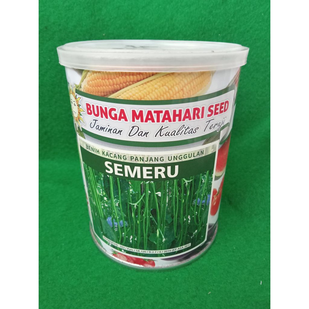 Benih kacang panjang Semeru 500gram