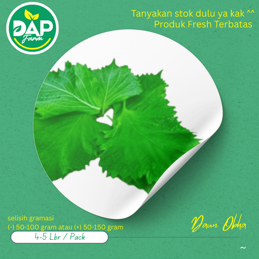 

Daun Obha/ Herb shisho/ DAP Farm/ Sayur Segar Jakarta