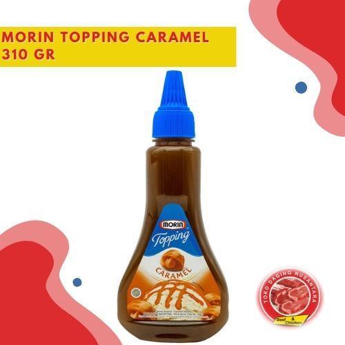 

MORIN TOPPING CARAMEL 310 GR