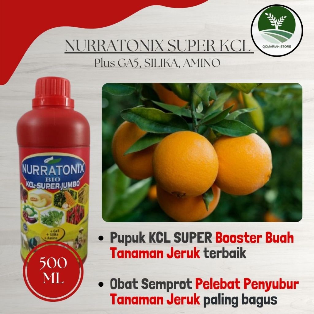 Nuratonix Super KCL Bio Jumbo 500 ML pupuk organik jeruk berkualitas cocok untuk semua jenis jeruk (