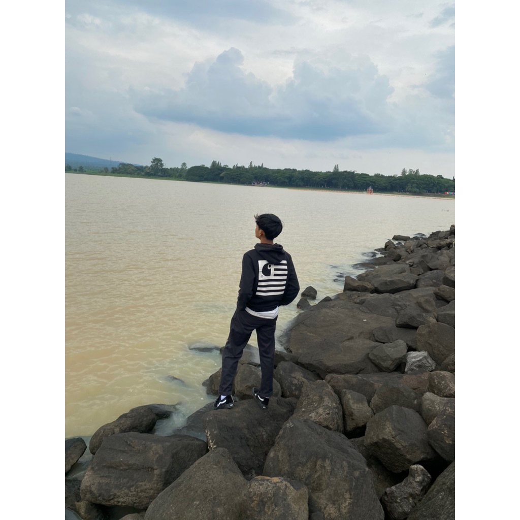 Hoddie carhart state flag