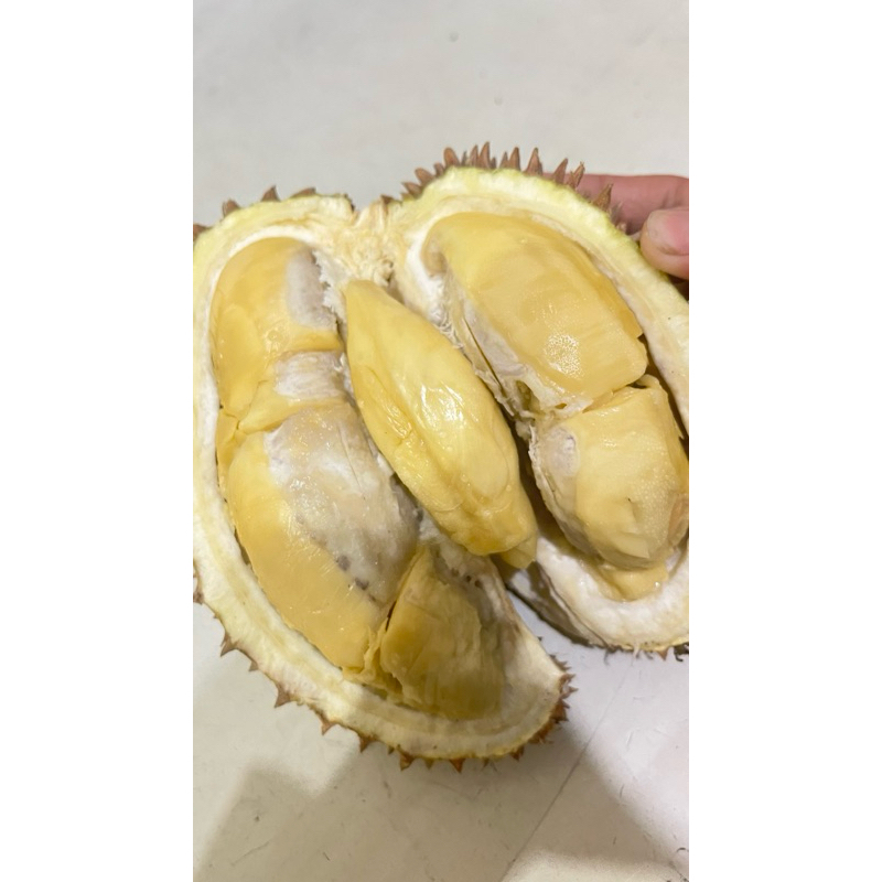 

DURPAS | DURIAN KUPAS LEGIT FULL DAGING