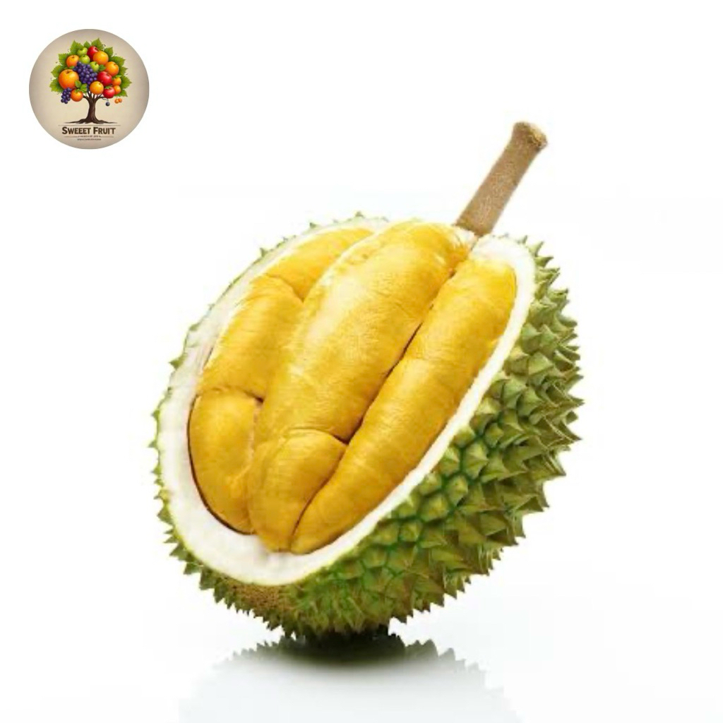 

Durian Musang king Malaysia | Durian Musang King Dikenal Karenan Rasa Manis Yang Kuat Dengan Sedikit Rasa Pahit yang Seimbang | 1,7Kg