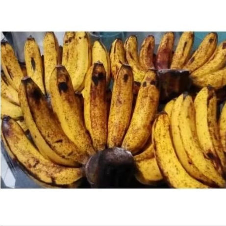 

Pisang Barangan 1 sisir