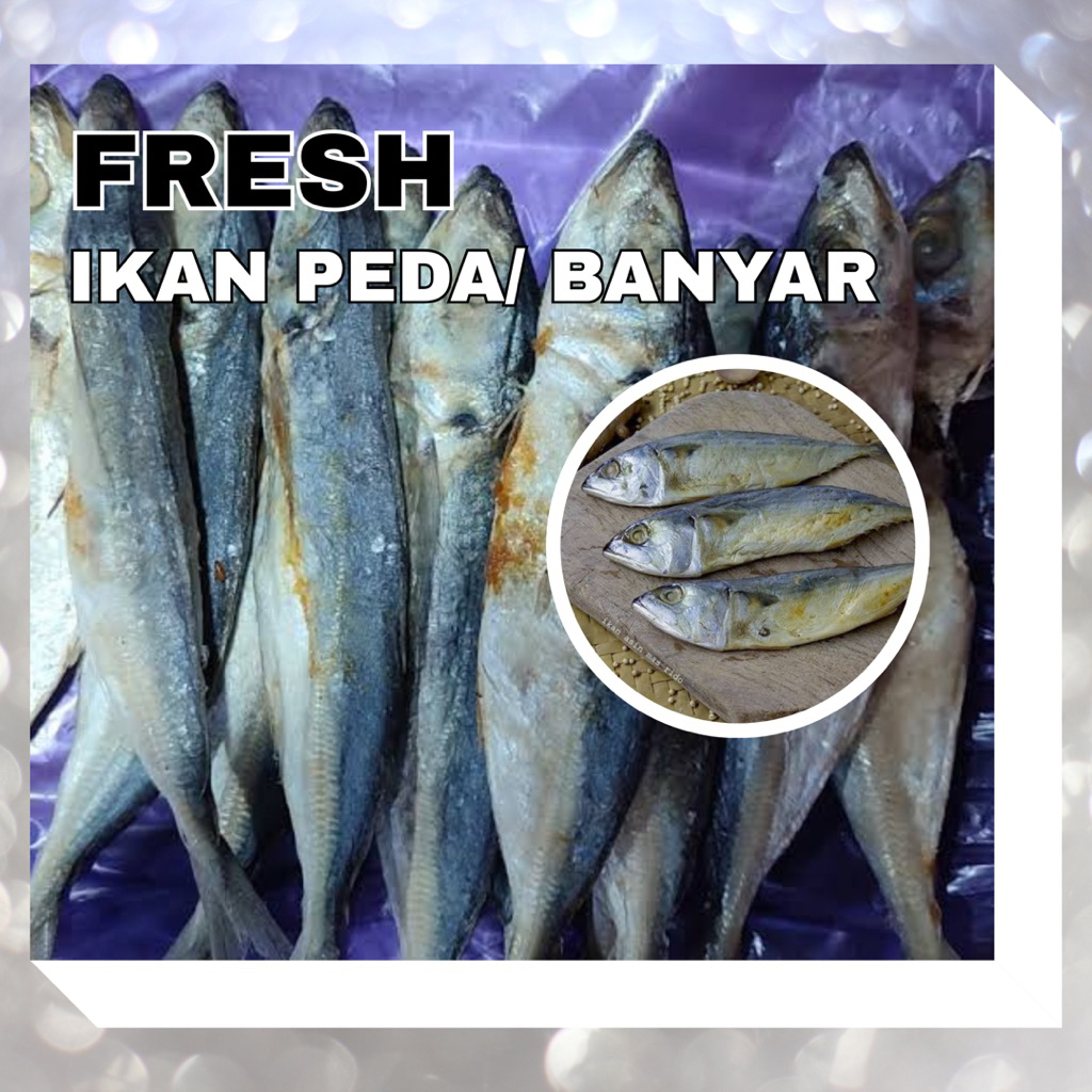 

COD TERMURAH IKAN PEDA/ BANYAR 500 GRAM