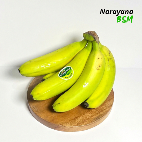 

Buah Pisang Cavendish Sunpride