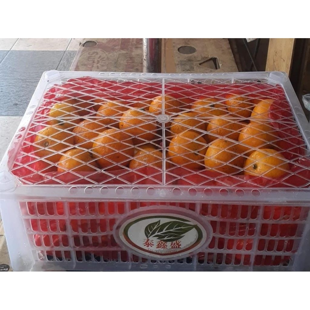 Indukbuah Buah Jeruk Mandarin Wogan Wokam Mini Manis 1 Keranjang ±5,5kg