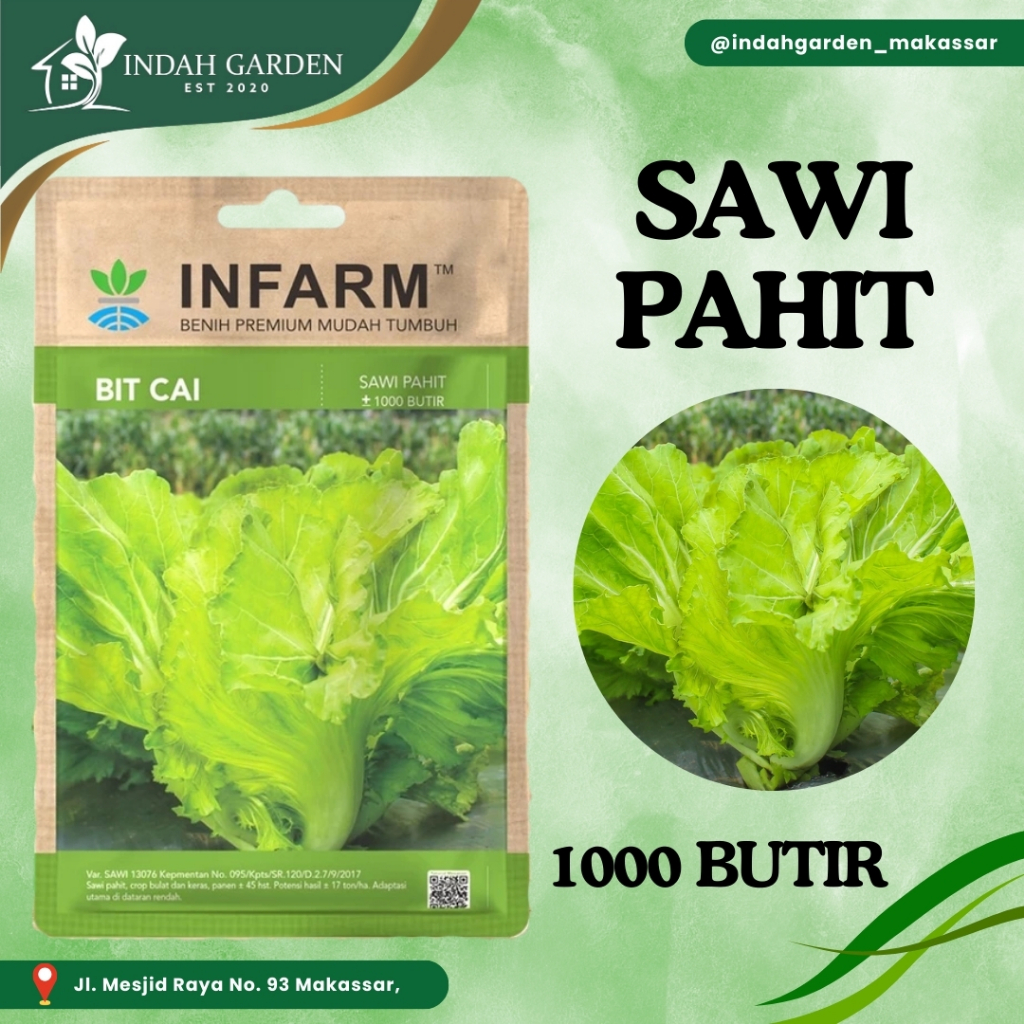 INFARM - Benih Bibit Unggul Sawi Pahit Bitcai Sayur Sawi Pahit Bulat