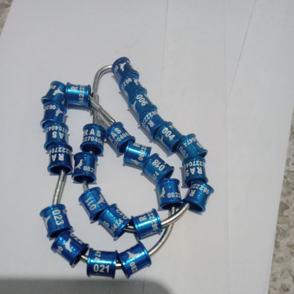 ring burung anis merah