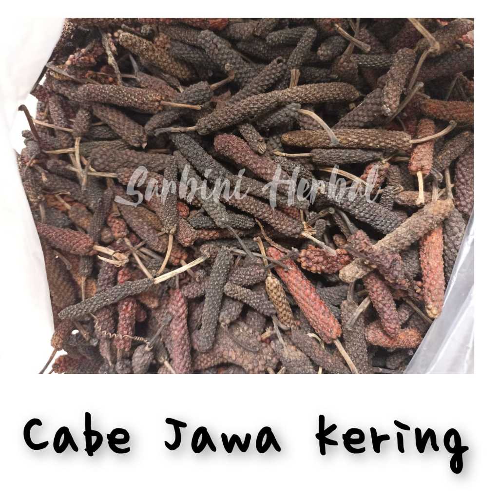 

Cabai Jawa Kering/Cabe Jawa Kering 100 gram / 250 gram / Simplisia Kering Cabai Jawa /Cabe Jawa Garansi Terjamin 100% Asli Murni / Bahan Cabai Jawa Kering/Bahan Cabe Jawa Premium / Jamu Herbal Cabai Jawa Tradisional Tanpa Bahan
