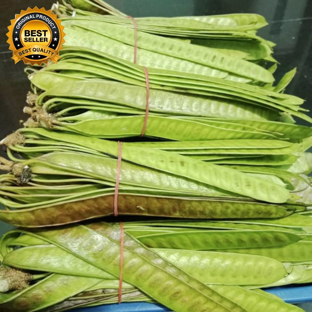 

Pete cina 5kg Pete lamtoro 5kg Pete selong 5kg segar fresh dipetik dadakan utuh belum dikupas
