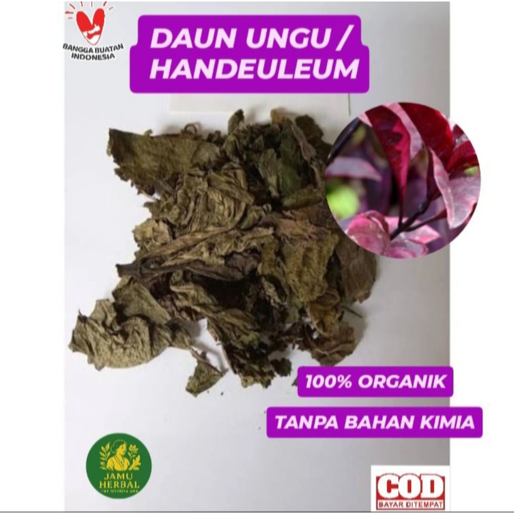 

Teh Daun Ungu wungu / Daun handeuleum kering 100 gram Herbal untuk kesehatan - Herbal by aromea