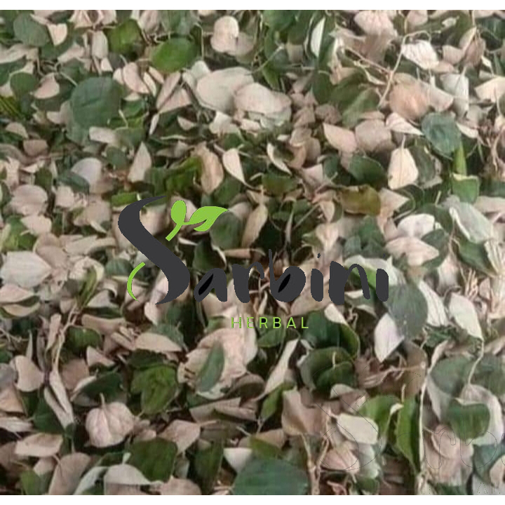 

Daun Bidara Kering / Kering Daun Bidara 500 gram / 1000 gram / Simplisia Kering Daun Bidara Garansi Terjamin 100% Asli Murni / Bahan Daun Bidara Premium / Jamu Herbal Daun Bidara Tradisional Tanpa Bahan
