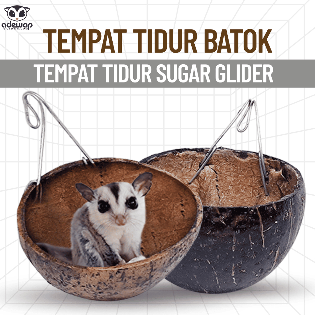 ADEWAP GLIDER Sleeping Pouch Tempat Tidur Batok Kelapa Sugar Glider