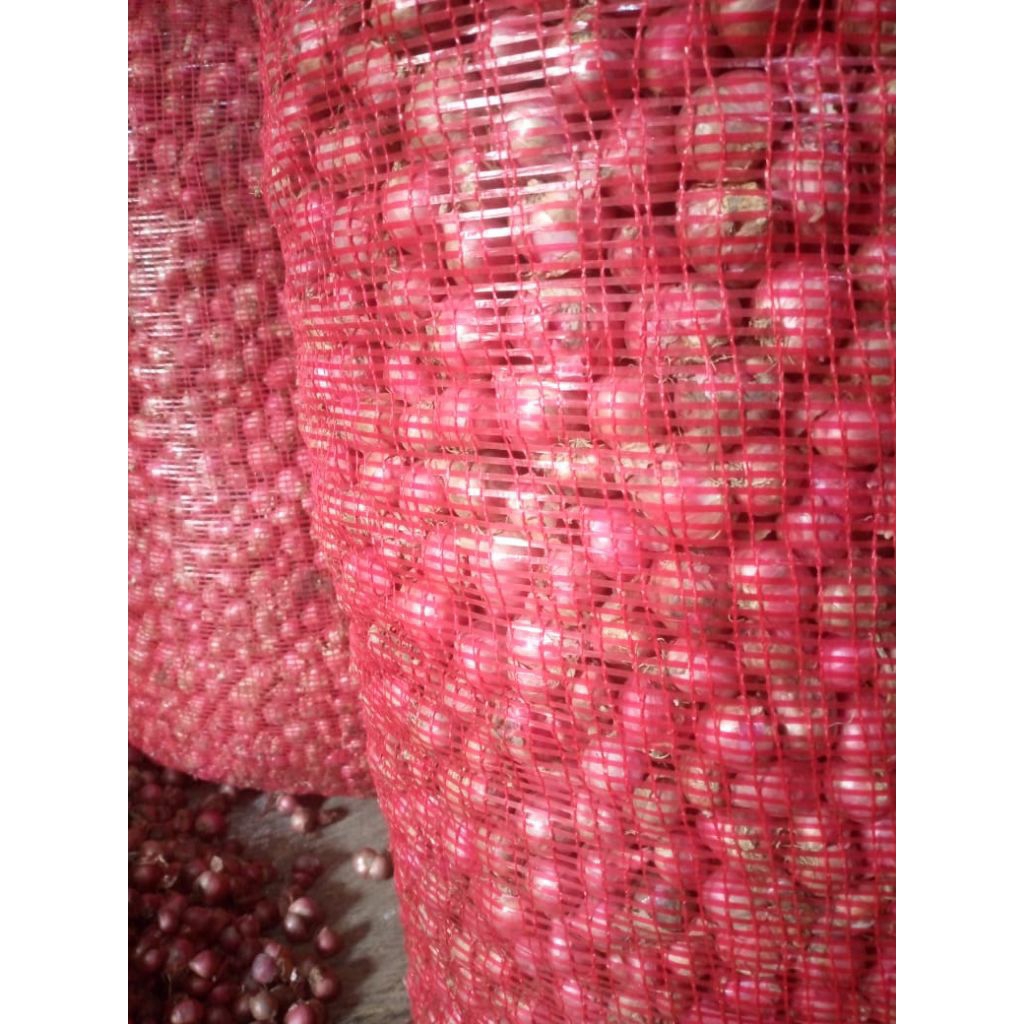 

bawang merah bima jawa super jumbo 500g