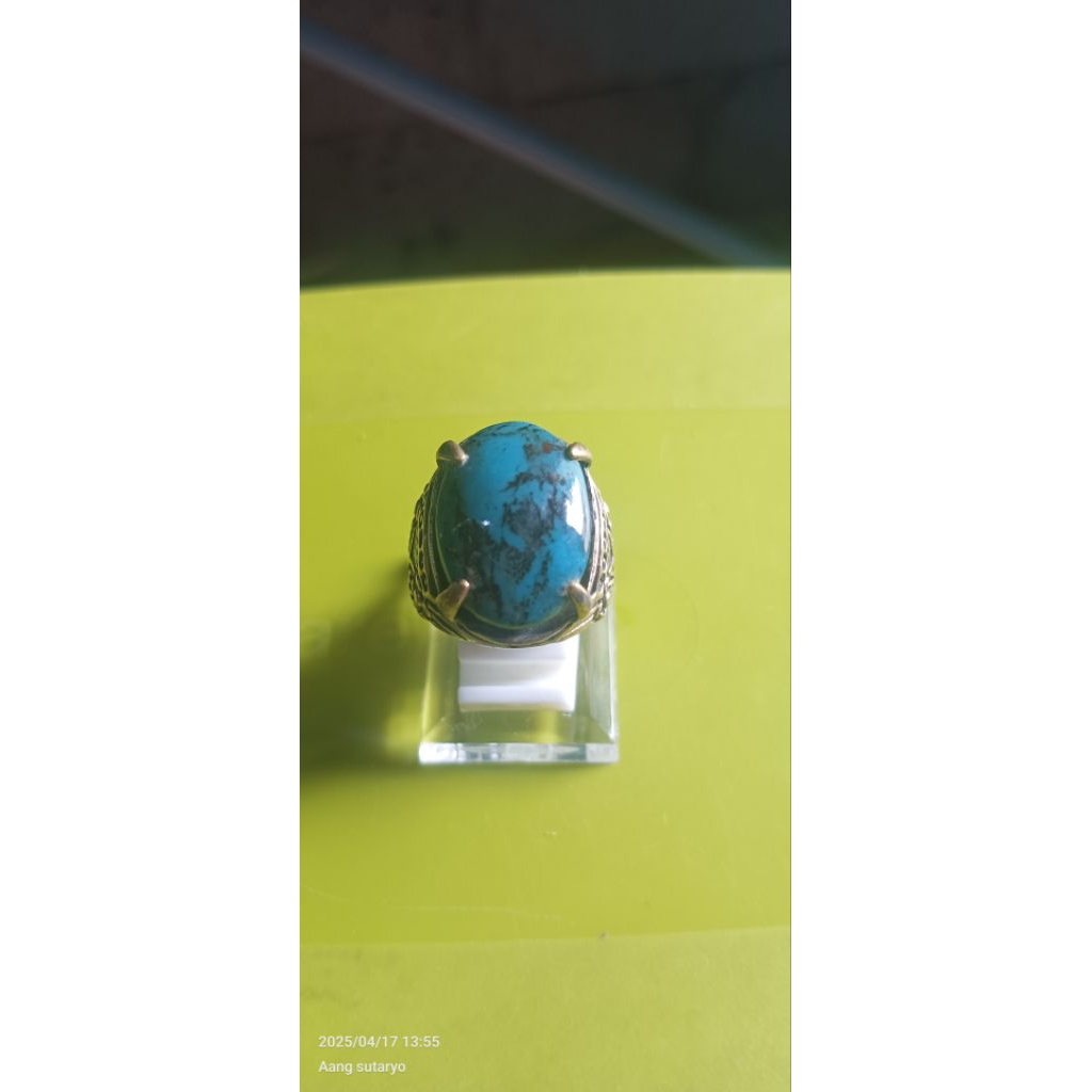 PIRUS PERSIA URAT HITAM