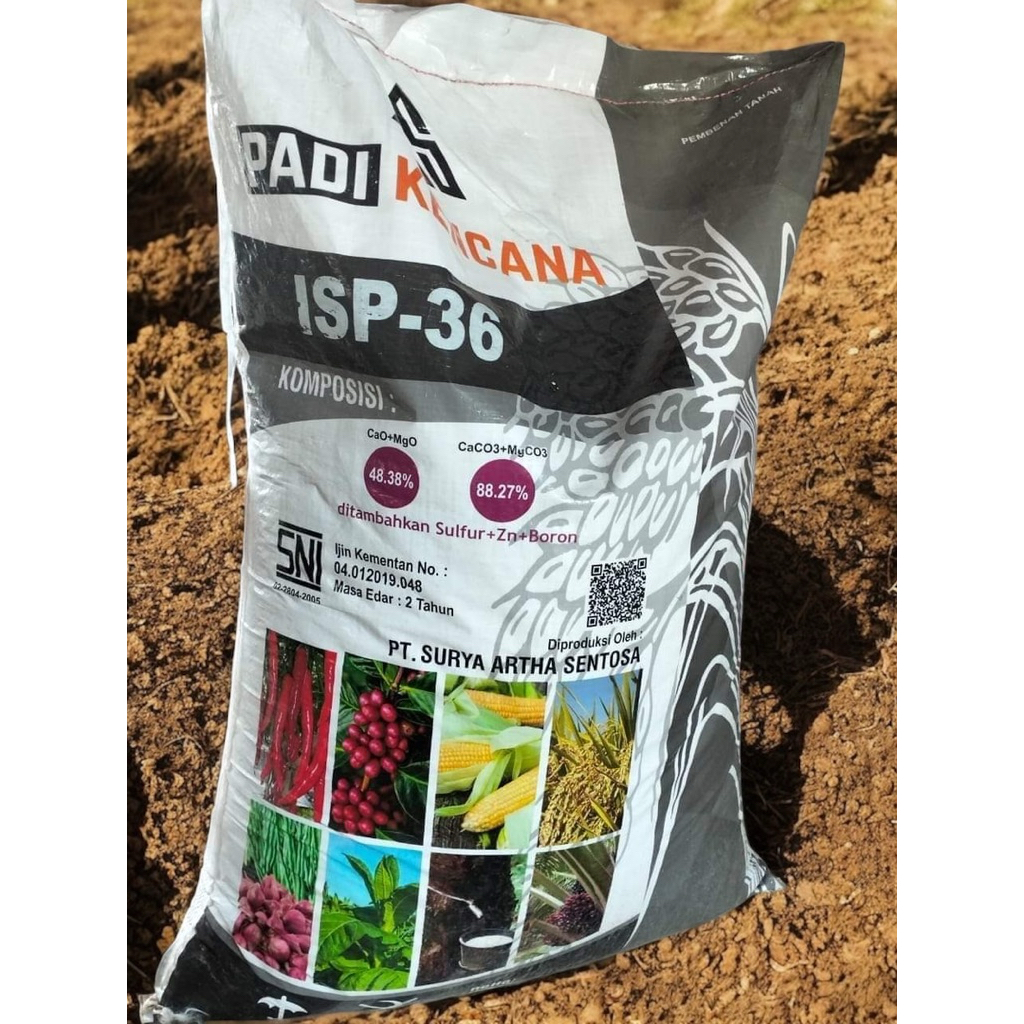 Pupuk Non Subsidi SP-36 Padi Kencana Kemasan 1 Sak 50kg