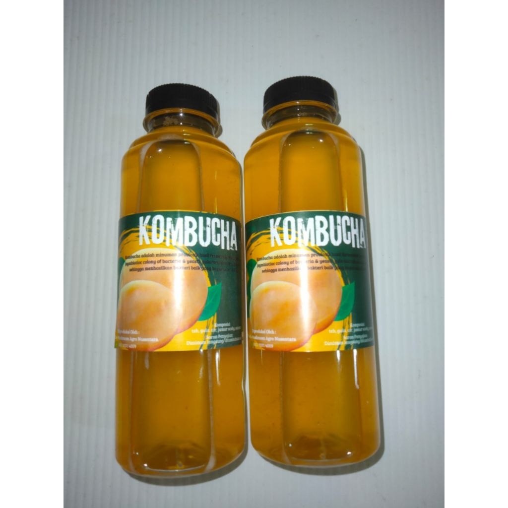 

Kombucha Teh Hijau