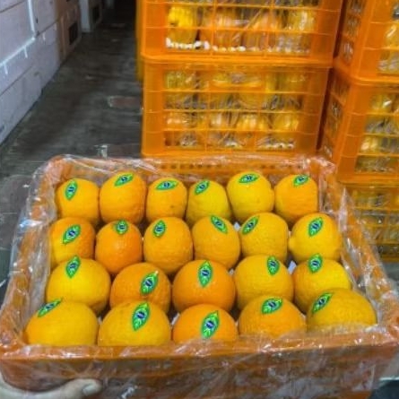 

BuahJeruk Wogan Mandarin fresh Jual Per 1 BOK Krat