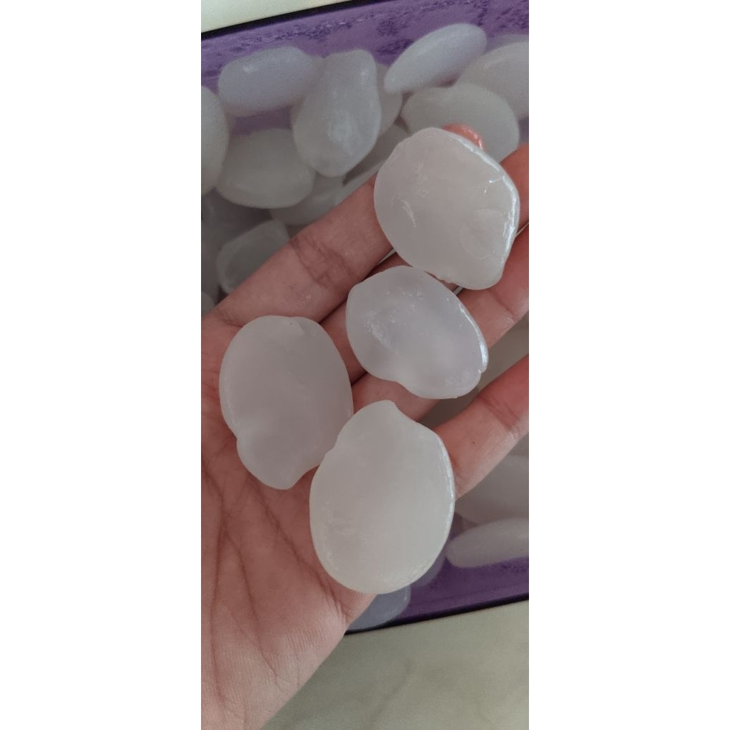 

kolang kaling mentah fresh langsung dari petani 250gr, 500gr, 1kg