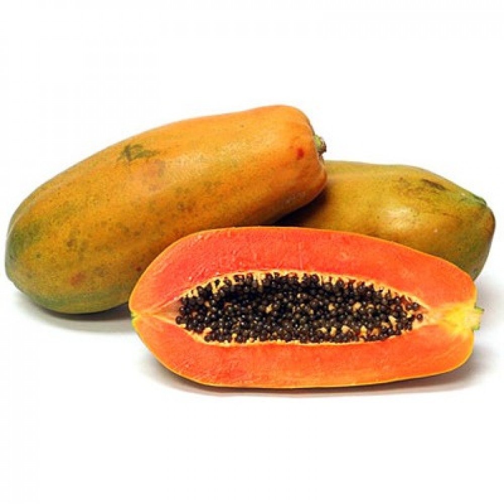 bibit pepaya bangkok - pepaya thailan