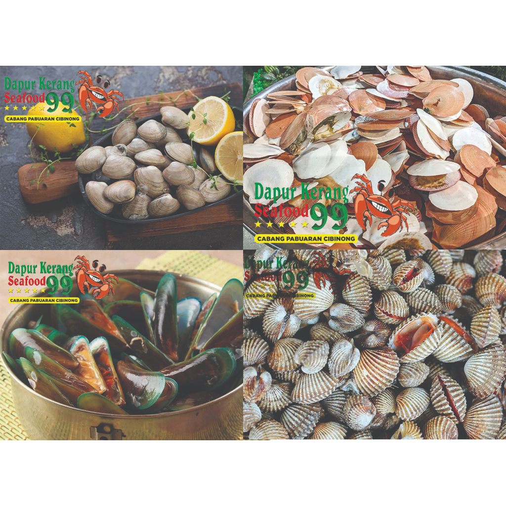 

Kerang Mix 250gr Kerang Hijau Kerang Dara Kerang Tahu Kerang Simping Scallop Frozen