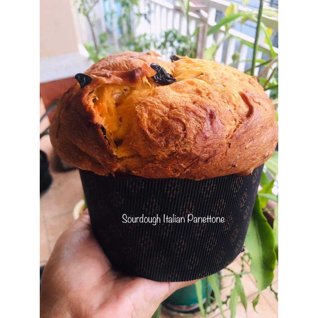 

Sourdough Italian Panettone( medium size )
