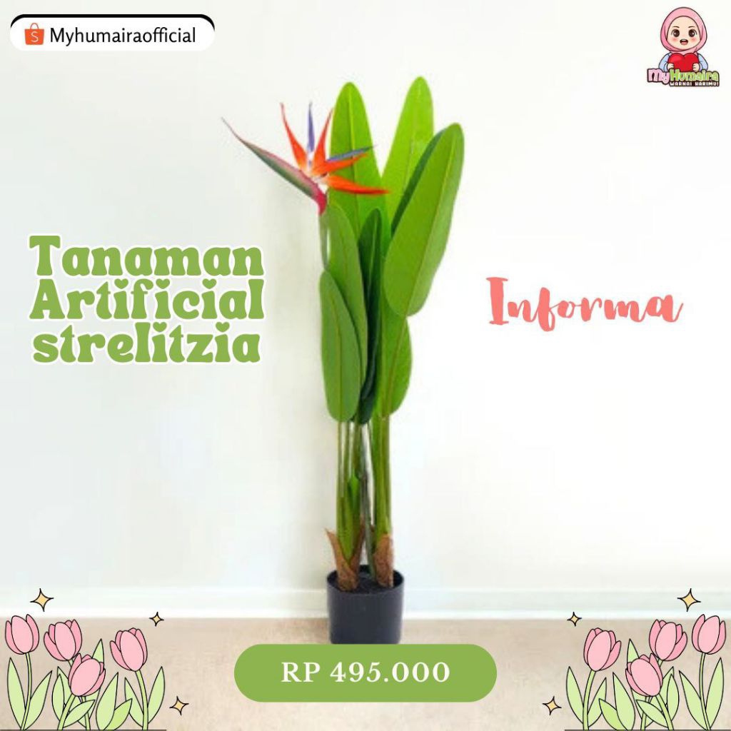 [TENGGARONG] TANAMAN HIAS ARTIFICIAL STRELITZIA INFORMA