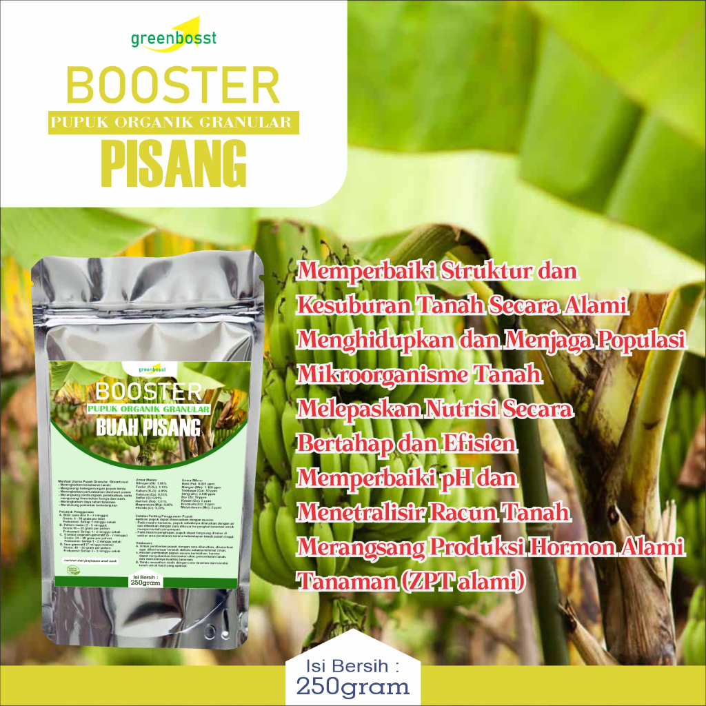 pupuk organik buah pisang 250gram, meningkatkan imunitas dan cegah serangan racun gedebok pisang