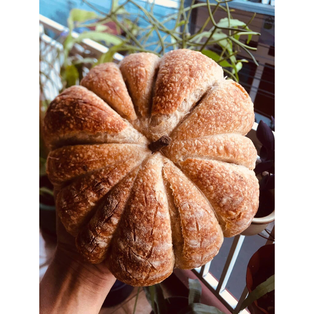 

Sourdough Pumpkin rustic bread