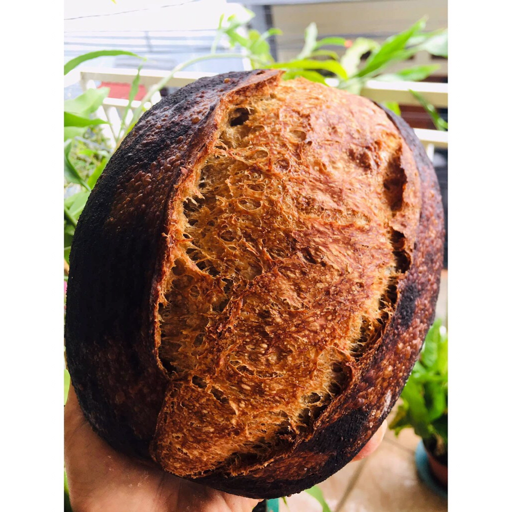 

Sourdough Nescafé Coffee Rustic Bread