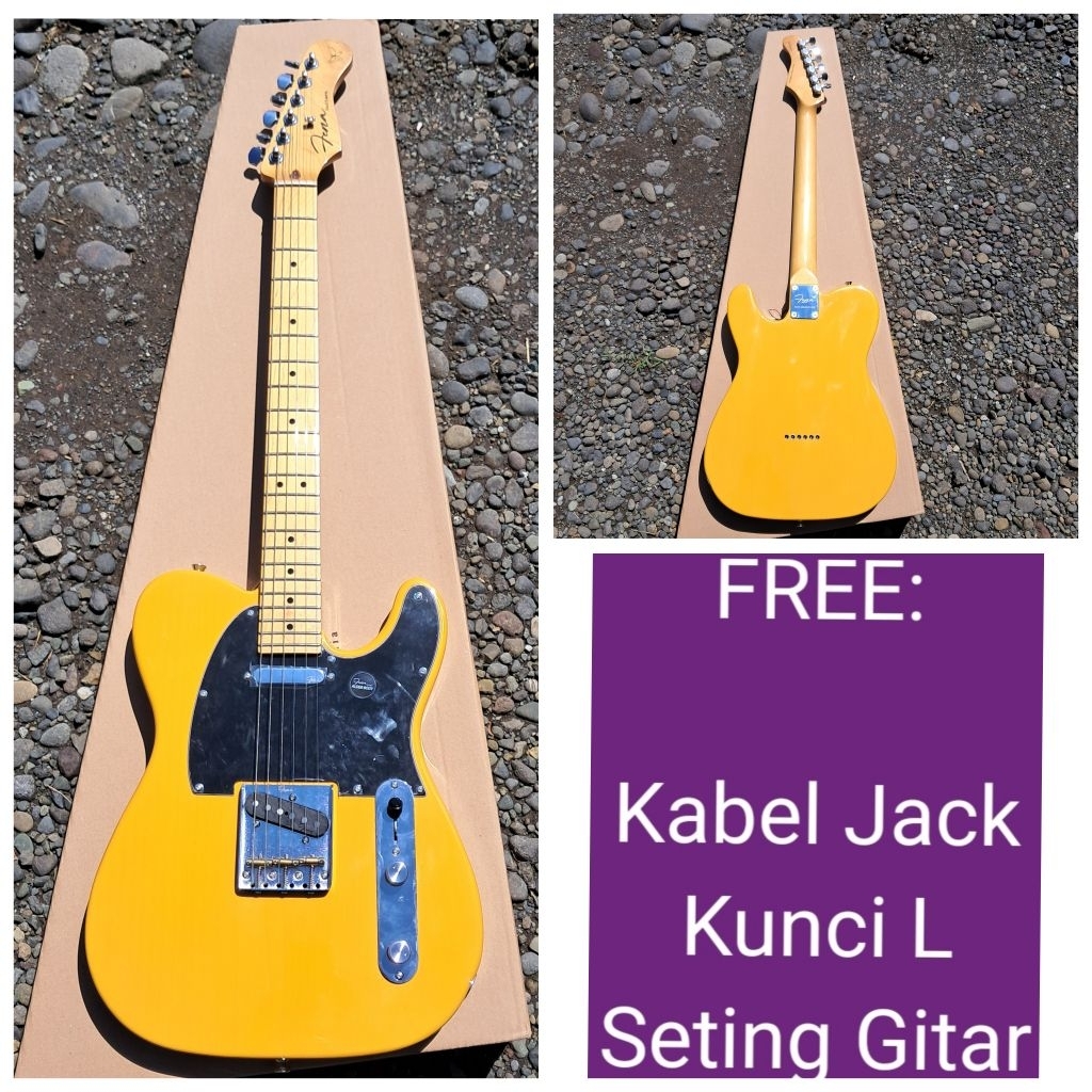 GITAR ELEKTRIK FENA METAMORFOSIS GITAR FENA TL METAMORFOSIS TELECASTER