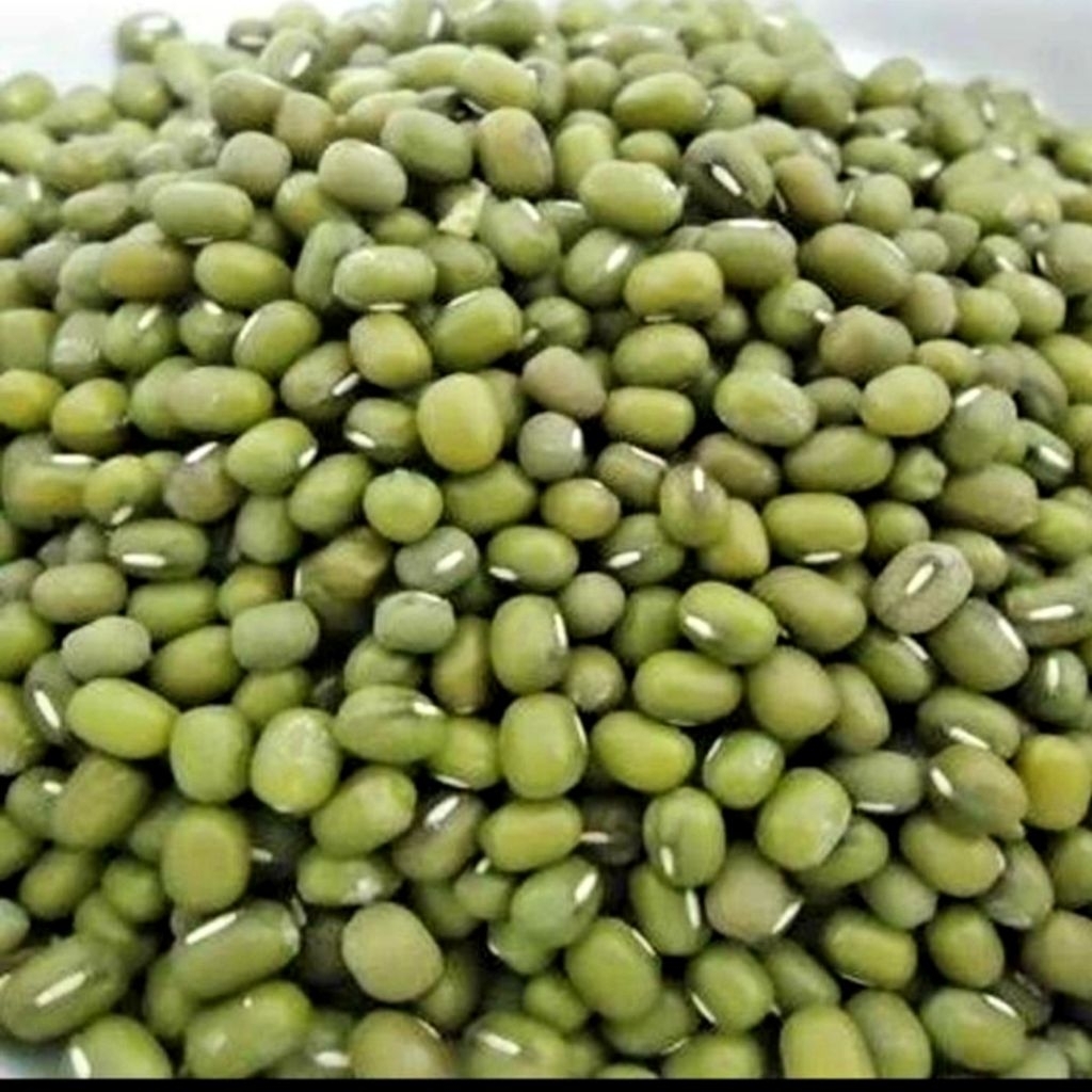 

KACANG IJO BUBUR 1KG