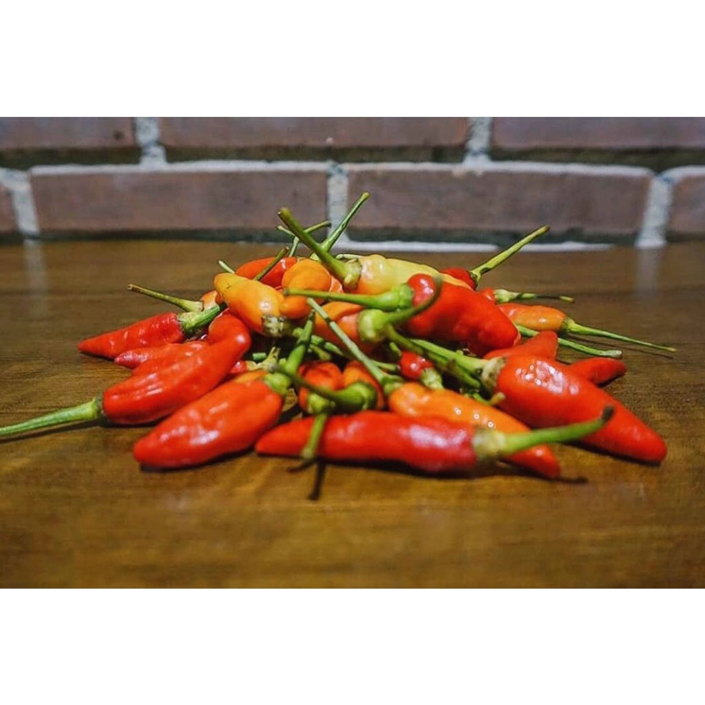 

Cabai Rawit Rembang Fresh 1kg