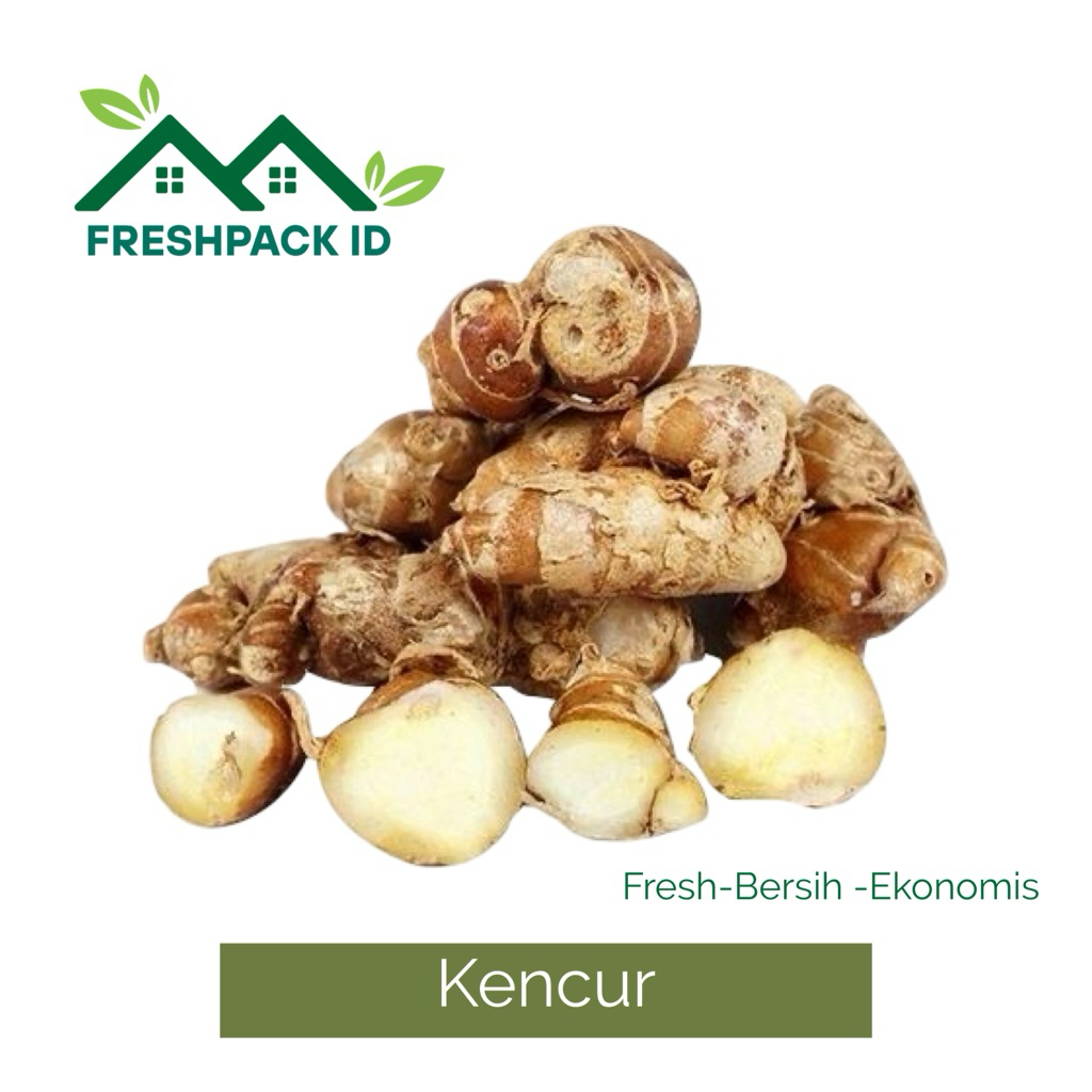 

Freshpack-bumbu dapur kencur 1 pack