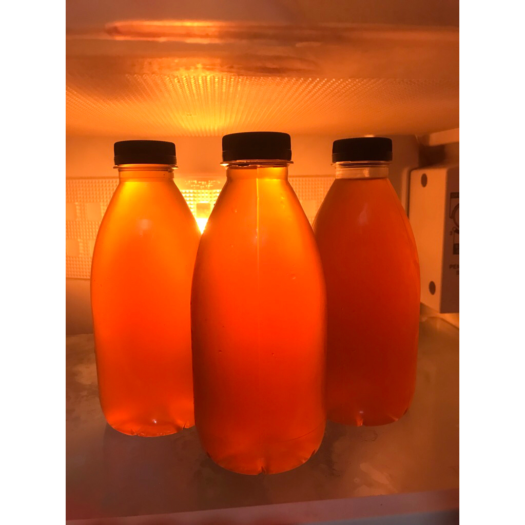 

teh kombucha