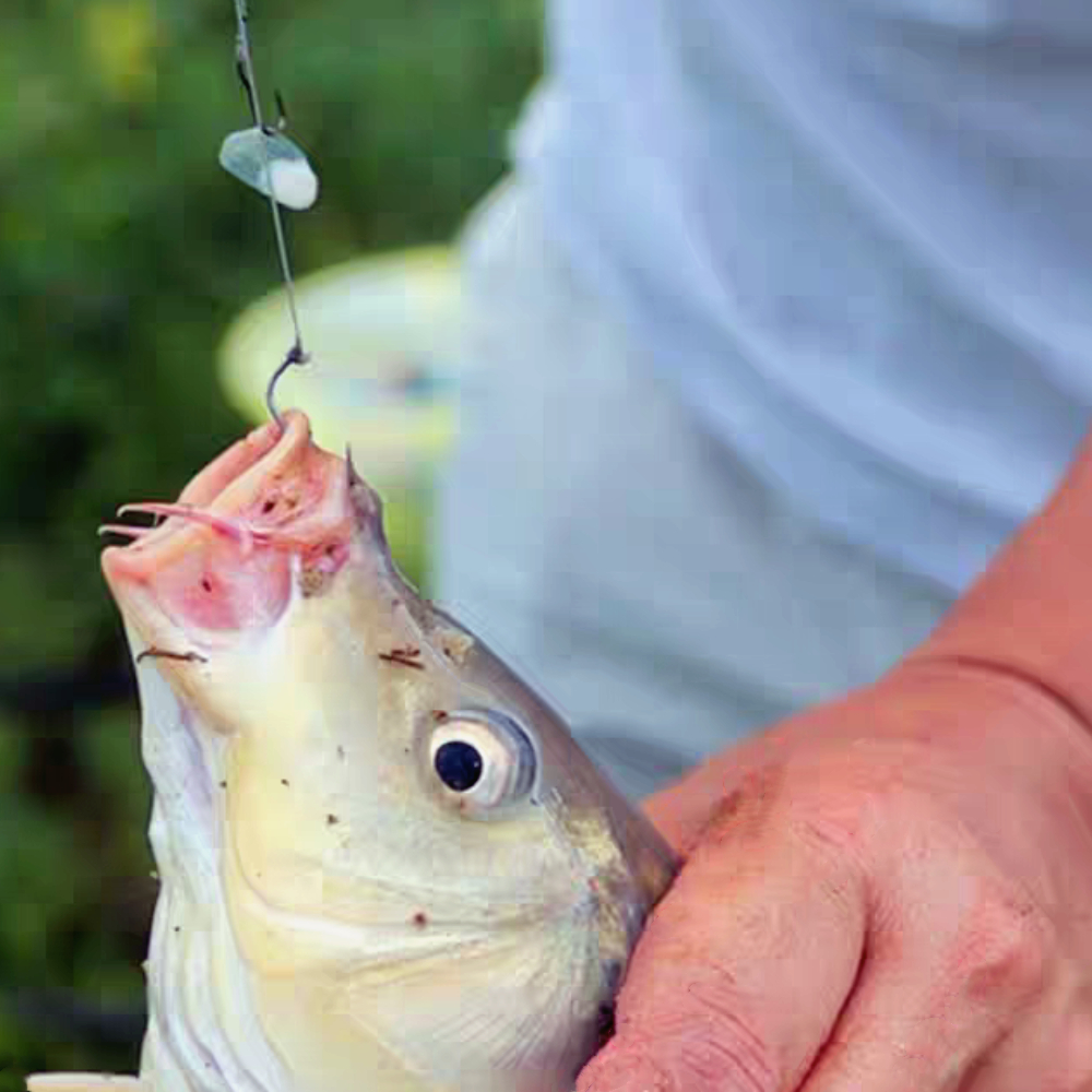 [Ready] Bingolife Kail Pancing Otomatis Kail Ikan Wader Kecil Kail Anti Mocel Kail Pancing Kuat