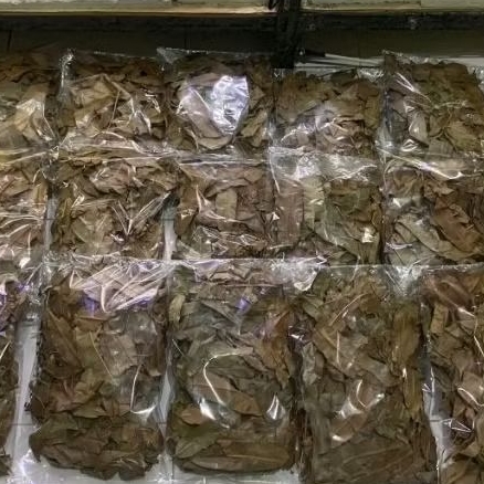 

Daun kelakai daun pakis kering kalimantan channa ys bunga maru red barito bebas gula 500grm