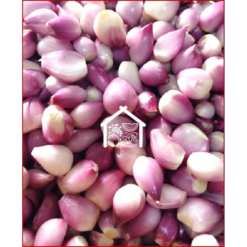 

Bawang Merah Sedang Kecil Kupas 500 Gram Pilihan Hemat