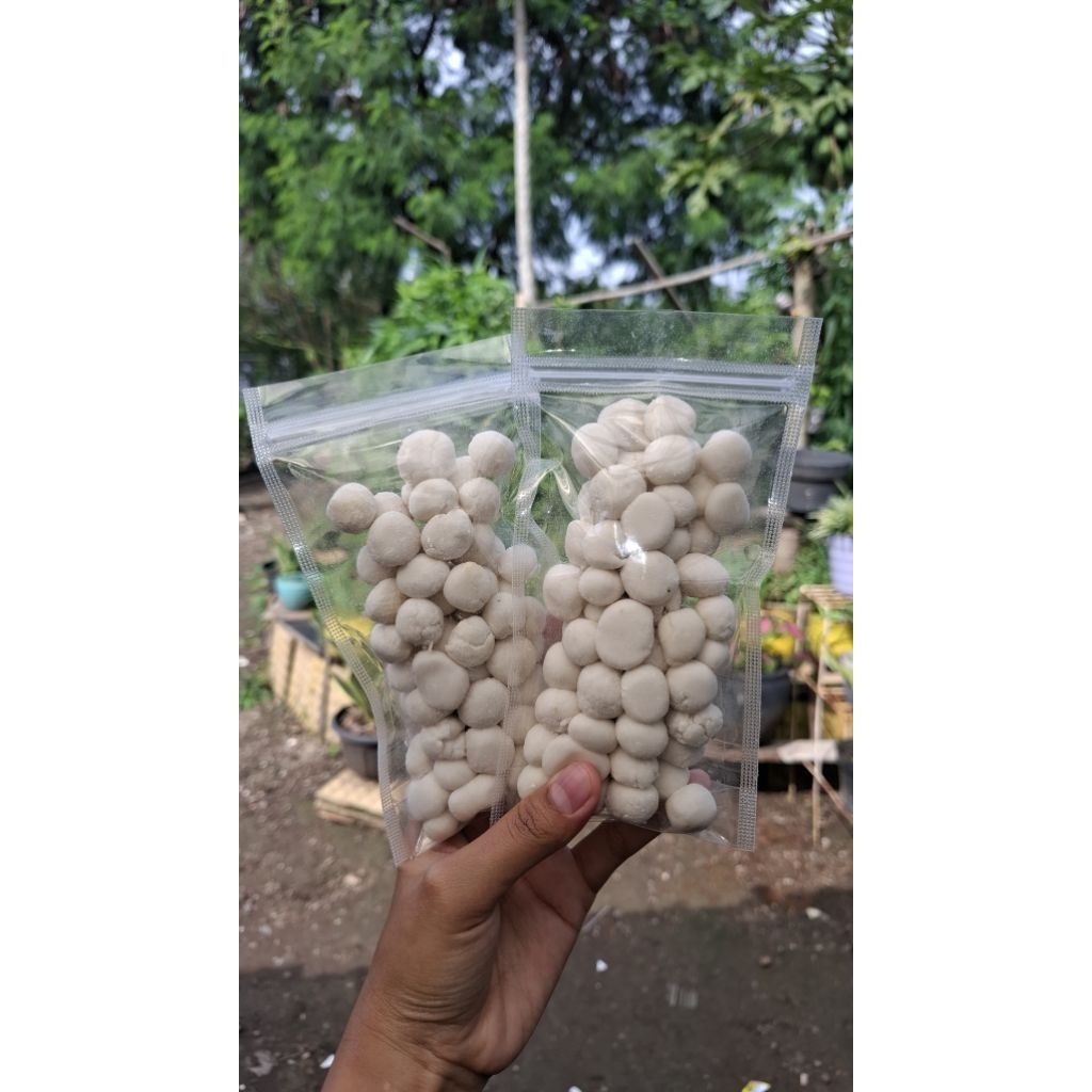 

Cimol Bojot Nin