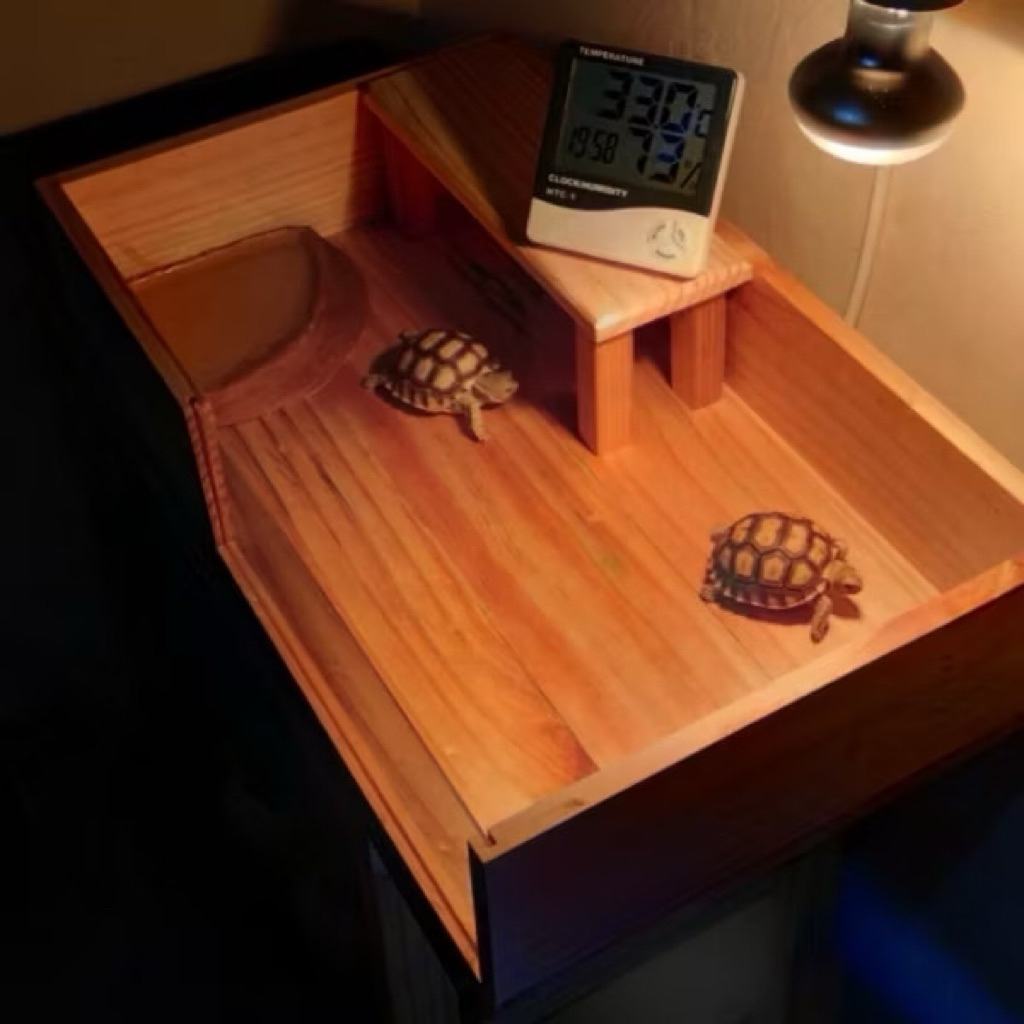 Premium Tortoise Sulcata Kandang Kura-Kura / Kandang Kayu Jati Belanda Murah