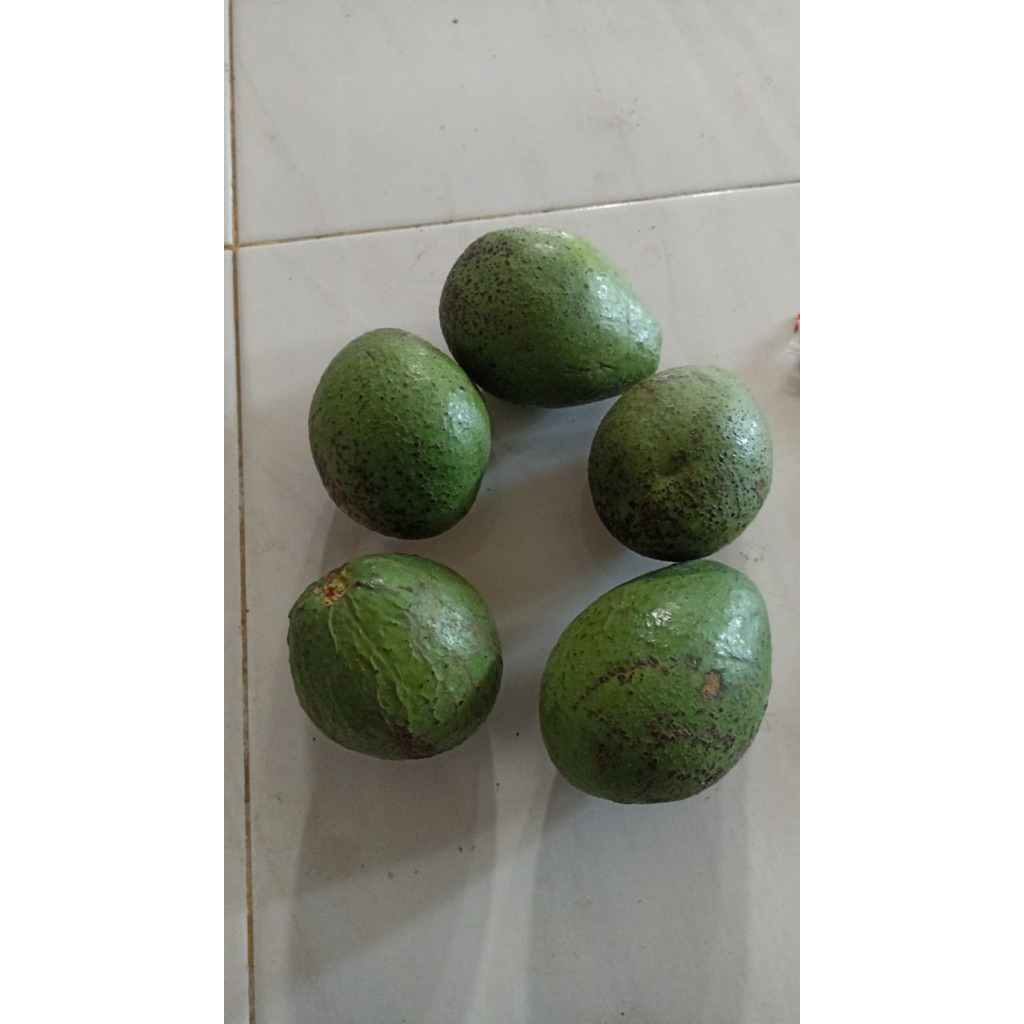 

alpukat setengah kilo/500gr