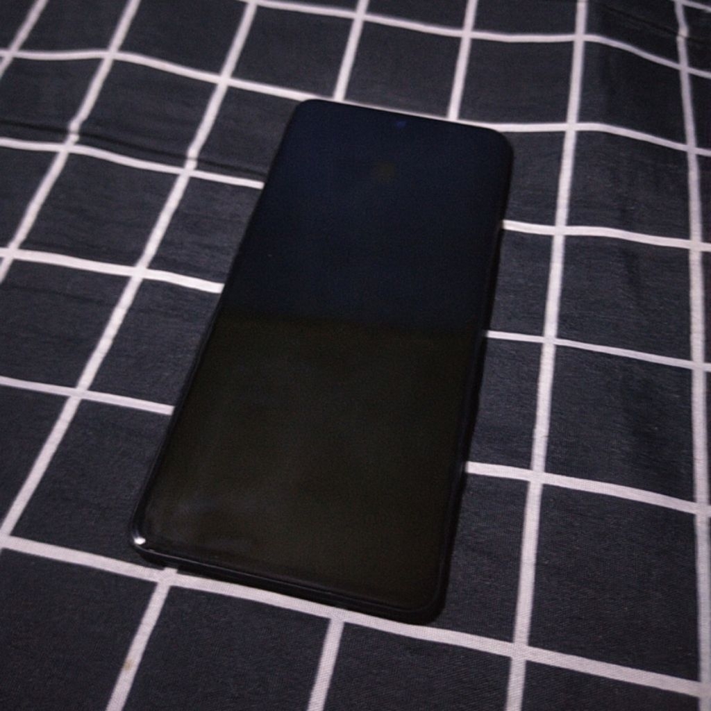 LCD COPOTAN REDMI NOTE 10 PRO AMOLED