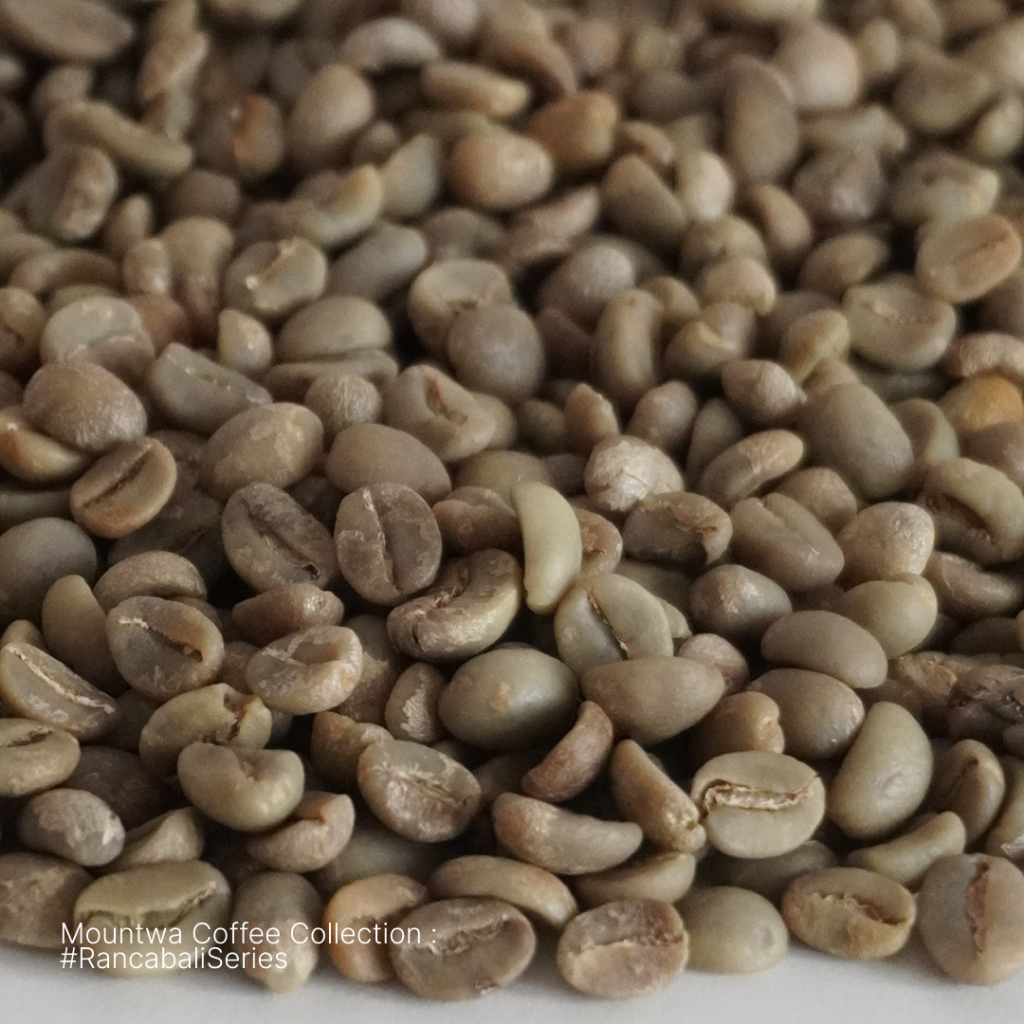 

NG green bean arabika Full Wash Rancabali/ Biji Kopi Mentah 1kg