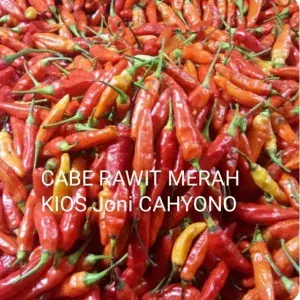 

CABAI/CABE RAWIT MERAH 150 GRAM