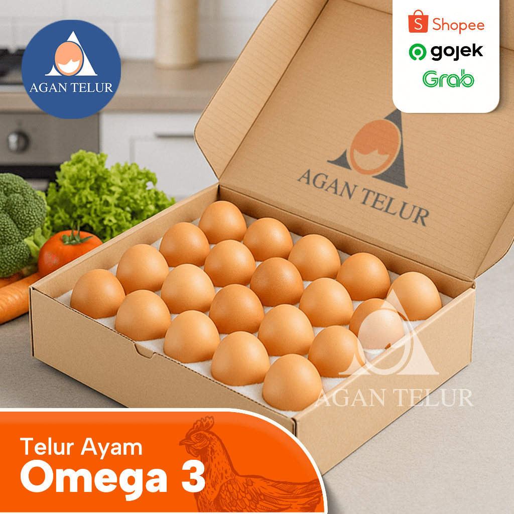 

Telur Omega 3 Organik Fresh isi 20 Butir per box denga foam - Telor Ayam bebas Antibiotik dan Salmonella bisa dikirim keluar kota