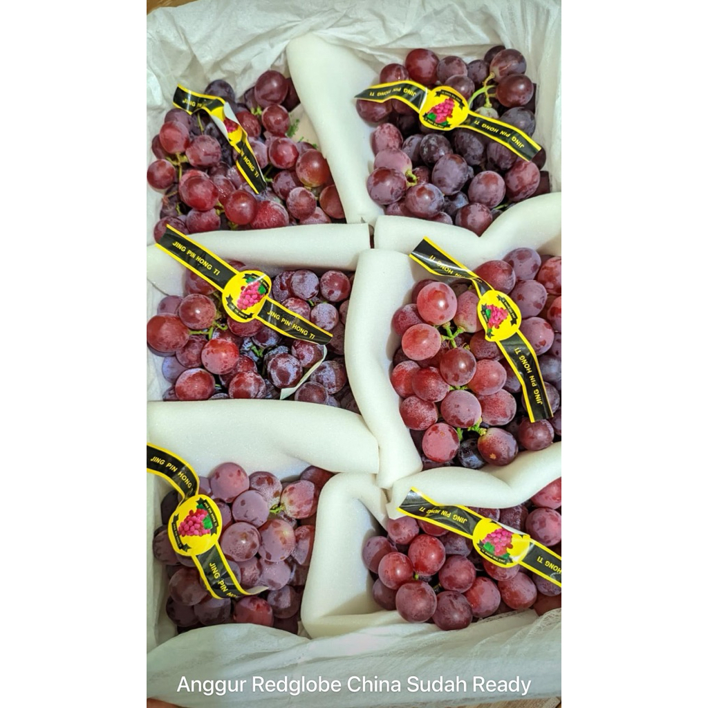

ANGGUR RED GLOBE RG CINA READY FRESH IMPORT KRAT
