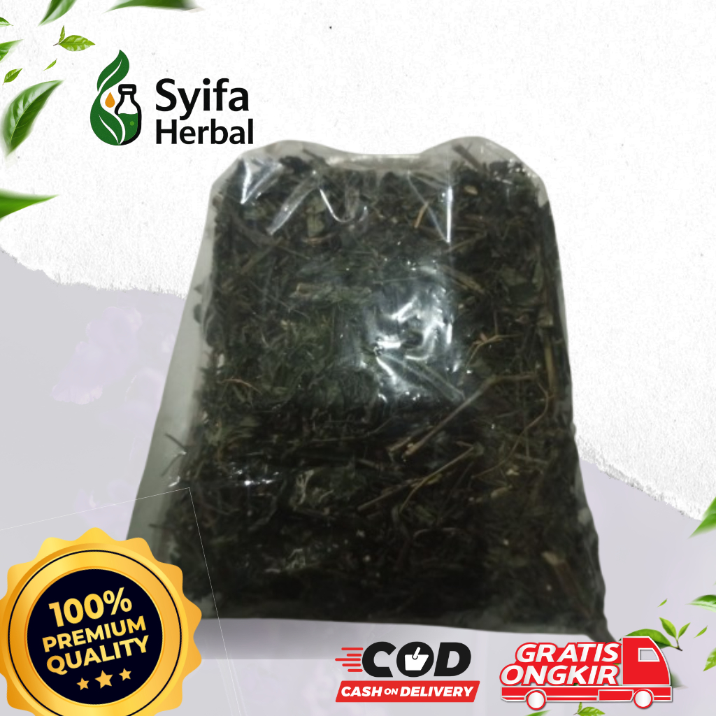 

Teh Daun Sambiloto Bubuk Herbal Multikhasiat Alami Untuk Kesehatan Daun Sambiroto Kering