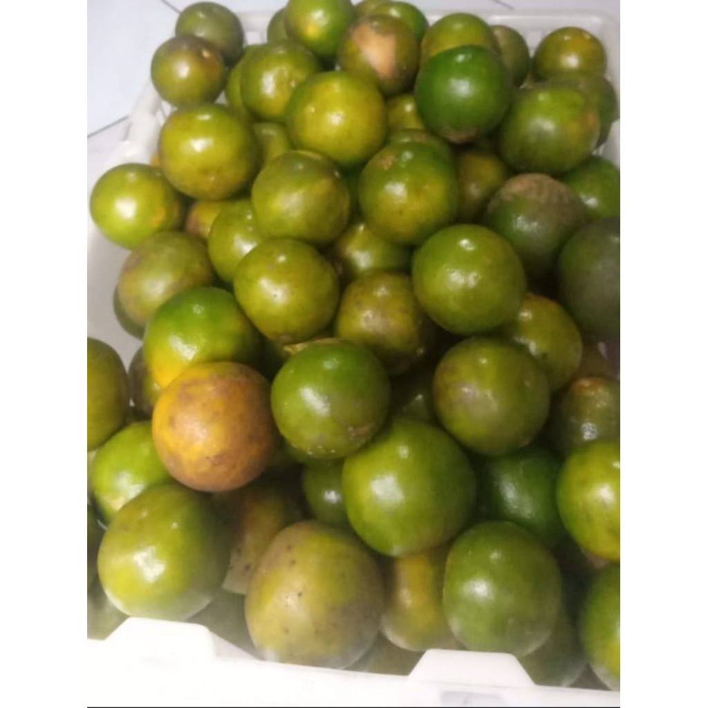 

JERUK SIEM MANIS FRESH 1 KG BARU PETIK ISI 8-12 BIJI